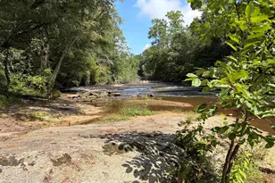 303 Pelham Falls Dr, Greer, SC 29651 - Photo 31