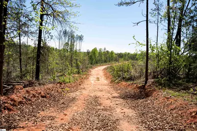 00 Loftis Road, Abbeville, SC 29603 - Photo 17