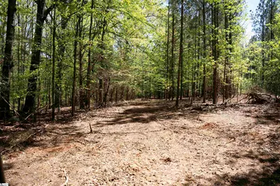 00 Loftis Road, Abbeville, SC 29603 - Photo 13