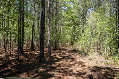 00 Loftis Road, Abbeville, SC 29603 - Photo 11