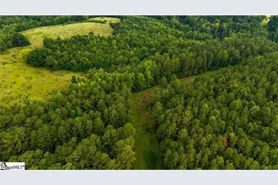 S J Workman Highway, Woodruff, SC 29388 - Photo 5