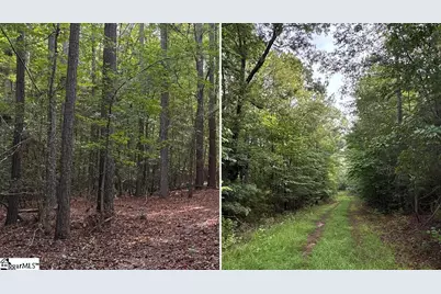 S J Workman Highway, Woodruff, SC 29388 - Photo 9