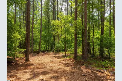 00 Cheek Road #Lot 11, Gray Court, SC 29645 - Photo 19