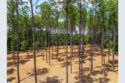 00 Cheek Road #Lot 11, Gray Court, SC 29645 - Photo 13