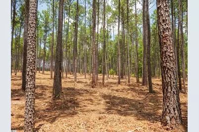 00 Cheek Road #Lot 11, Gray Court, SC 29645 - Photo 17