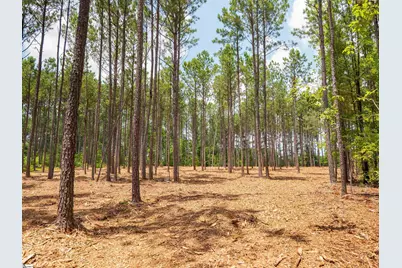 00 Cheek Road #Lot 11, Gray Court, SC 29645 - Photo 15