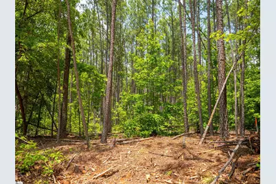 00 Cheek Road #Lot 11, Gray Court, SC 29645 - Photo 11
