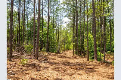 00 Cheek Road #Lot 11, Gray Court, SC 29645 - Photo 9