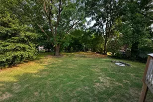 16 Perrin St, Greenville, SC 29607 - Photo 19