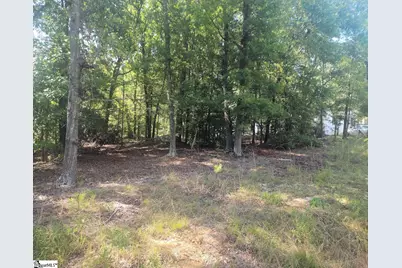 220 Cook Street, Gray Court, SC 29645 - Photo 5