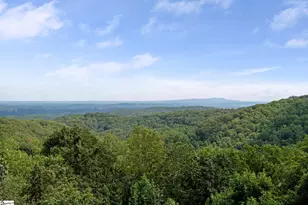 114 High Rock Ridge Dr, Landrum, SC 29356 - Photo 21