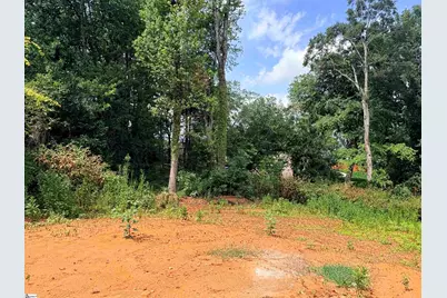 104 Decatur Street #Lot 4, Simpsonville, SC 29681 - Photo 21