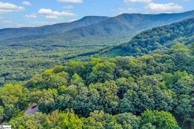 00 Hogback Mountain Road, Tryon, NC 28782 - Photo 5