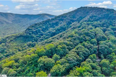 00 Hogback Mountain Road, Tryon, NC 28782 - Photo 3