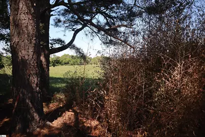 0 Stone Station Tract 2 Road, Spartanburg, SC 29306 - Photo 7