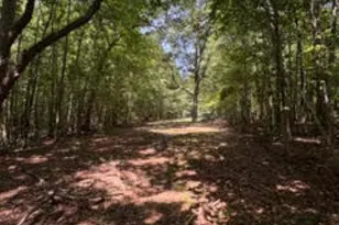 167 Willis Dr, Fountain Inn, SC 29644 - Photo 45