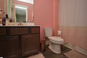 201 Terrapin Cross Way, Simpsonville, SC 29680 - Photo 39