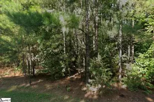 203 Ferncliff Dr, Greenwood, SC 29649 - Photo 1