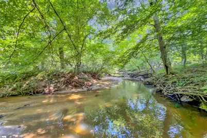 131 Browning Drive, Greer, SC 29650 - Photo 3