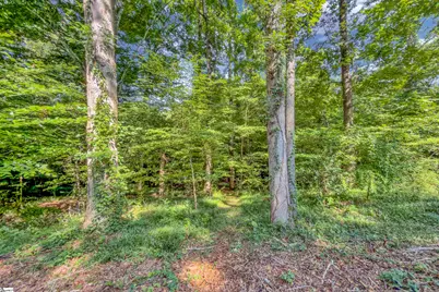 131 Browning Drive, Greer, SC 29650 - Photo 49
