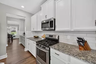 316 Alyssa Lndg Dr, Fountain Inn, SC 29644 - Photo 13