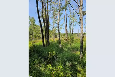 335 Old Ferry Road, Union, SC 29379 - Photo 7