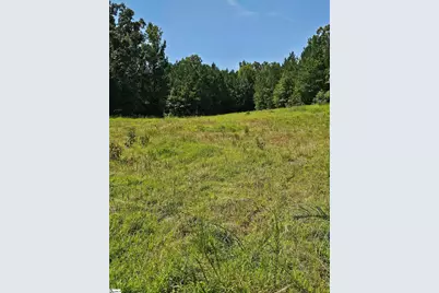 335 Old Ferry Road, Union, SC 29379 - Photo 5