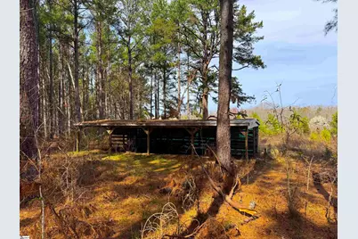 1 Bolt Road, Gray Court, SC 29645 - Photo 11