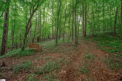 30 Tugaloo Bluff Road, Travelers Rest, SC 29690 - Photo 47