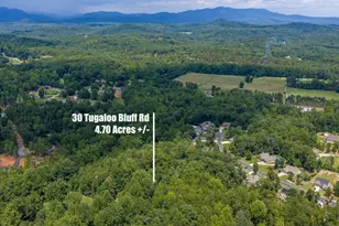 30 Tugaloo Bluff Rd, Travelers Rest, SC 29690 - Photo 3