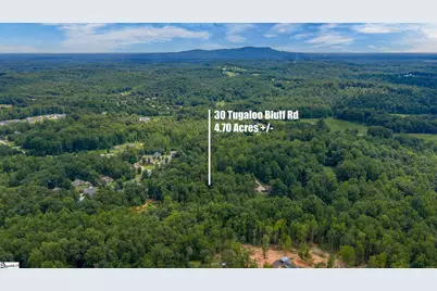 30 Tugaloo Bluff Road, Travelers Rest, SC 29690 - Photo 49
