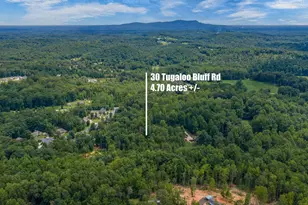 30 Tugaloo Bluff Rd, Travelers Rest, SC 29690 - Photo 49