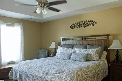 133 Marcie Rush Lane, Greer, SC 29651 - Photo 21