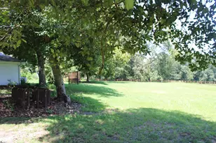 675 Old Mill Rd, Campobello, SC 29322 - Photo 11