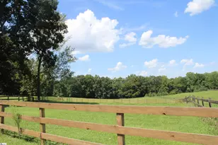 675 Old Mill Rd, Campobello, SC 29322 - Photo 27