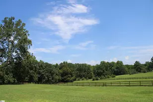 675 Old Mill Rd, Campobello, SC 29322 - Photo 13