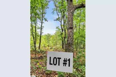 1321 Altamont Road, Greenville, SC 29609 - Photo 3