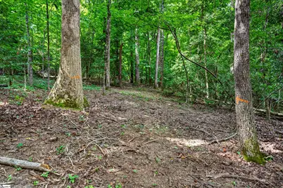 00 McFalls Circle, Anderson, SC 29627 - Photo 3