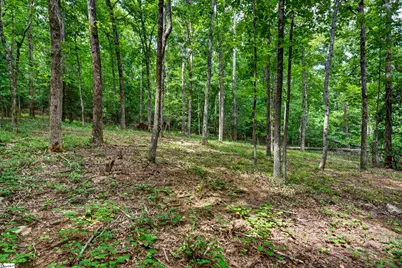 00 McFalls Circle, Anderson, SC 29627 - Photo 11