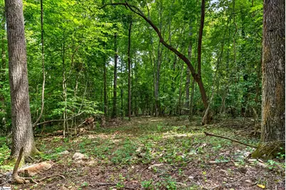 00 McFalls Circle, Anderson, SC 29627 - Photo 7