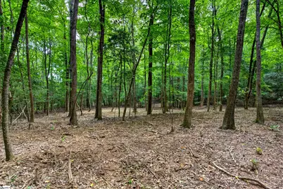 00 McFalls Circle, Anderson, SC 29627 - Photo 21