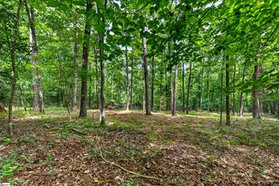 00 McFalls Circle, Anderson, SC 29627 - Photo 9
