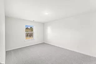 123 Terpack Ct, Gray Court, SC 29645 - Photo 17