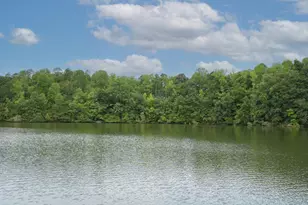 127 Lake Robinson Pointe, Greer, SC 29651 - Photo 3