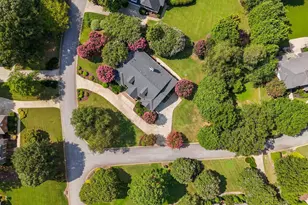 1 Avens Hill Dr, Greer, SC 29651 - Photo 43