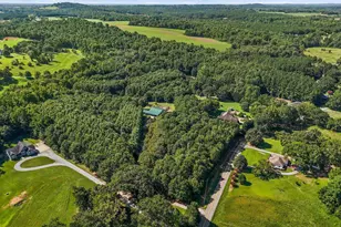 770 Dickson Rd, Campobello, SC 29322 - Photo 39