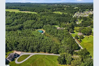 770 Dickson Road, Campobello, SC 29322 - Photo 3
