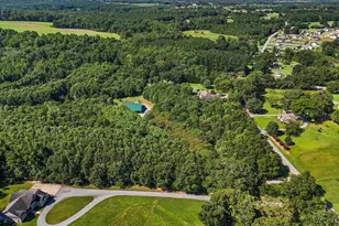 770 Dickson Rd, Campobello, SC 29322 - Photo 3
