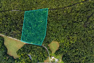 03 S Packs Mtn Rd, Taylors, SC 29687 - Photo 1