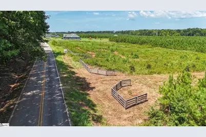 00 Young Road, Clinton, SC 29325 - Photo 3